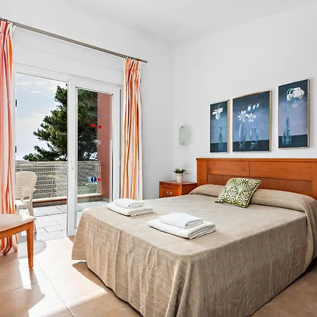 Calan Bosch Olivia *